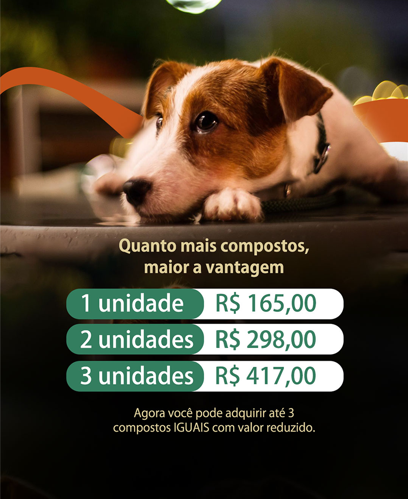 BANNER - SITE - MOBILE