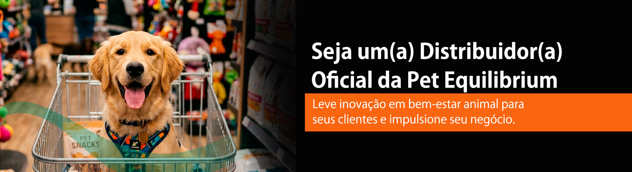 BANNER - WEB - DISTRIBUIDOR