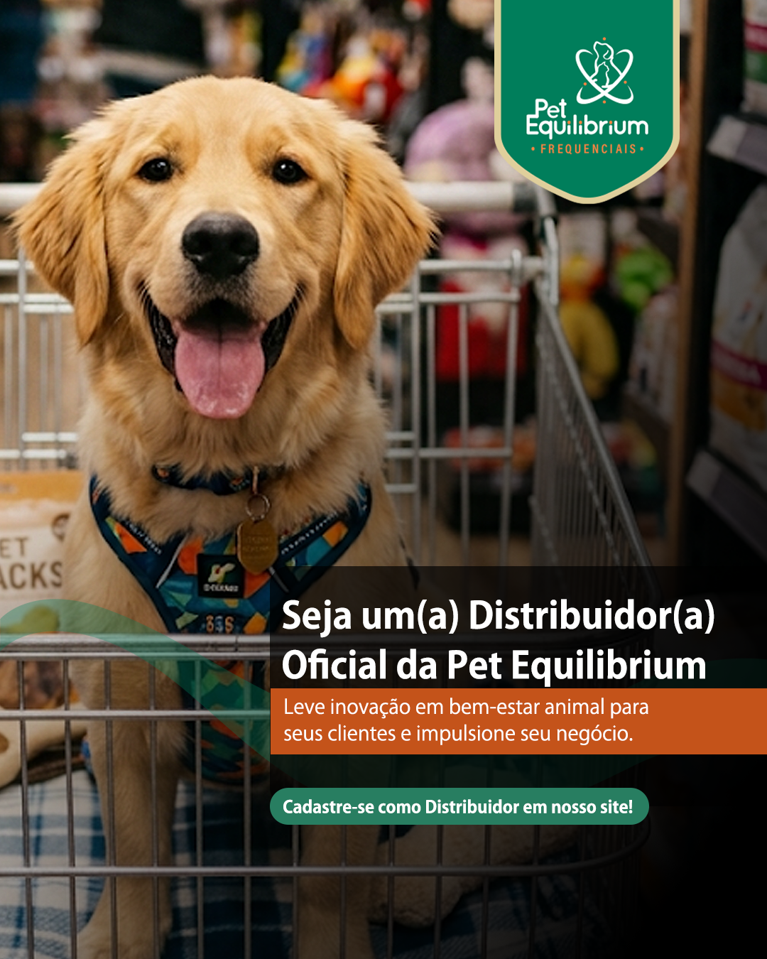 DISTRIBUIDOR